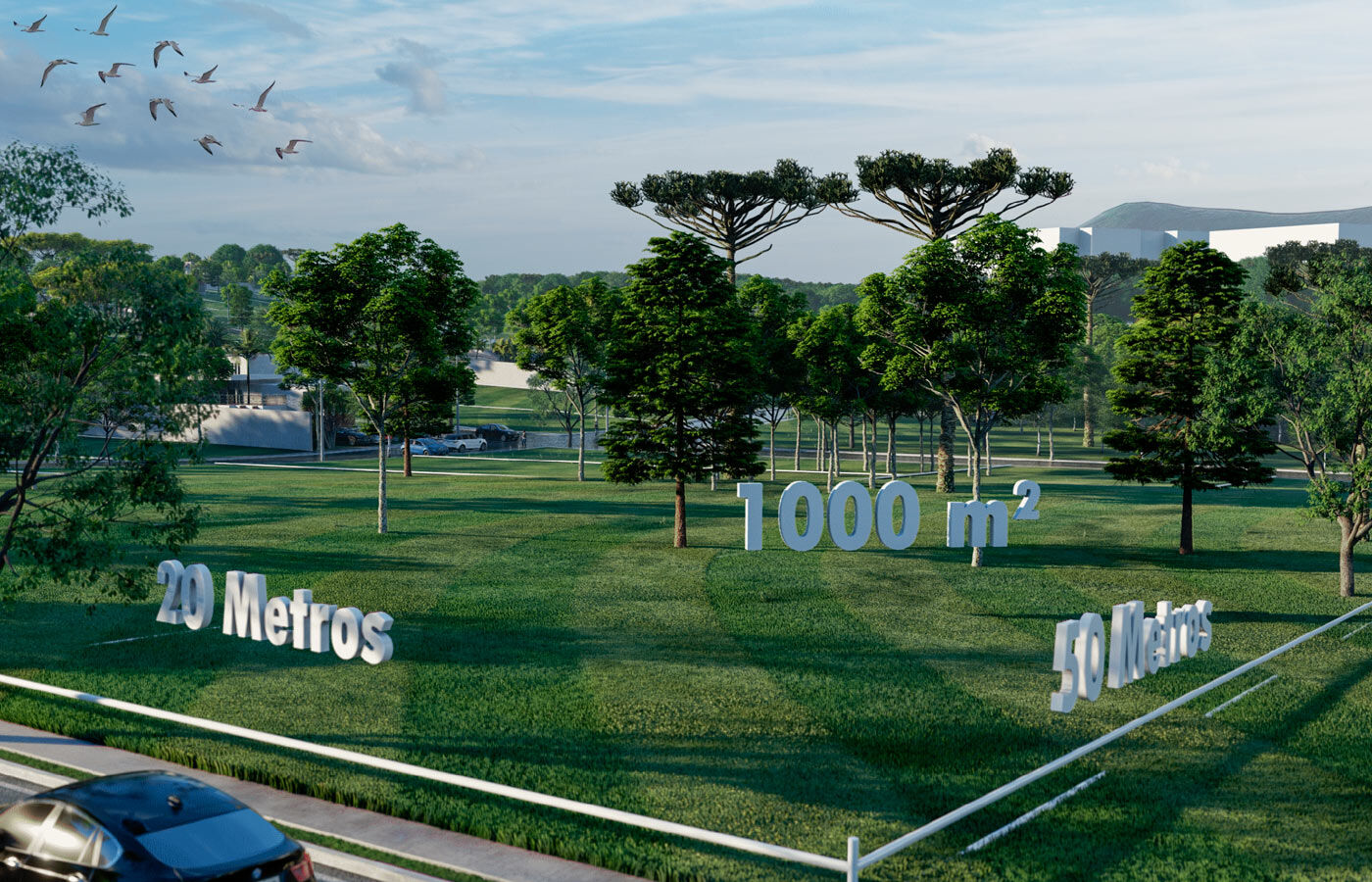 Chácara, 3 quartos, 1000 m² - Foto 44