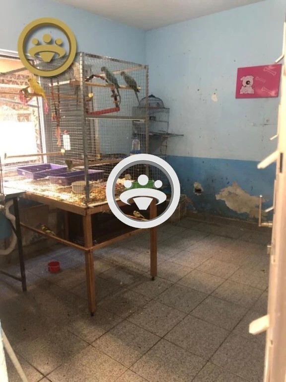 Sobrado à venda com 3 quartos, 145m² - Foto 10