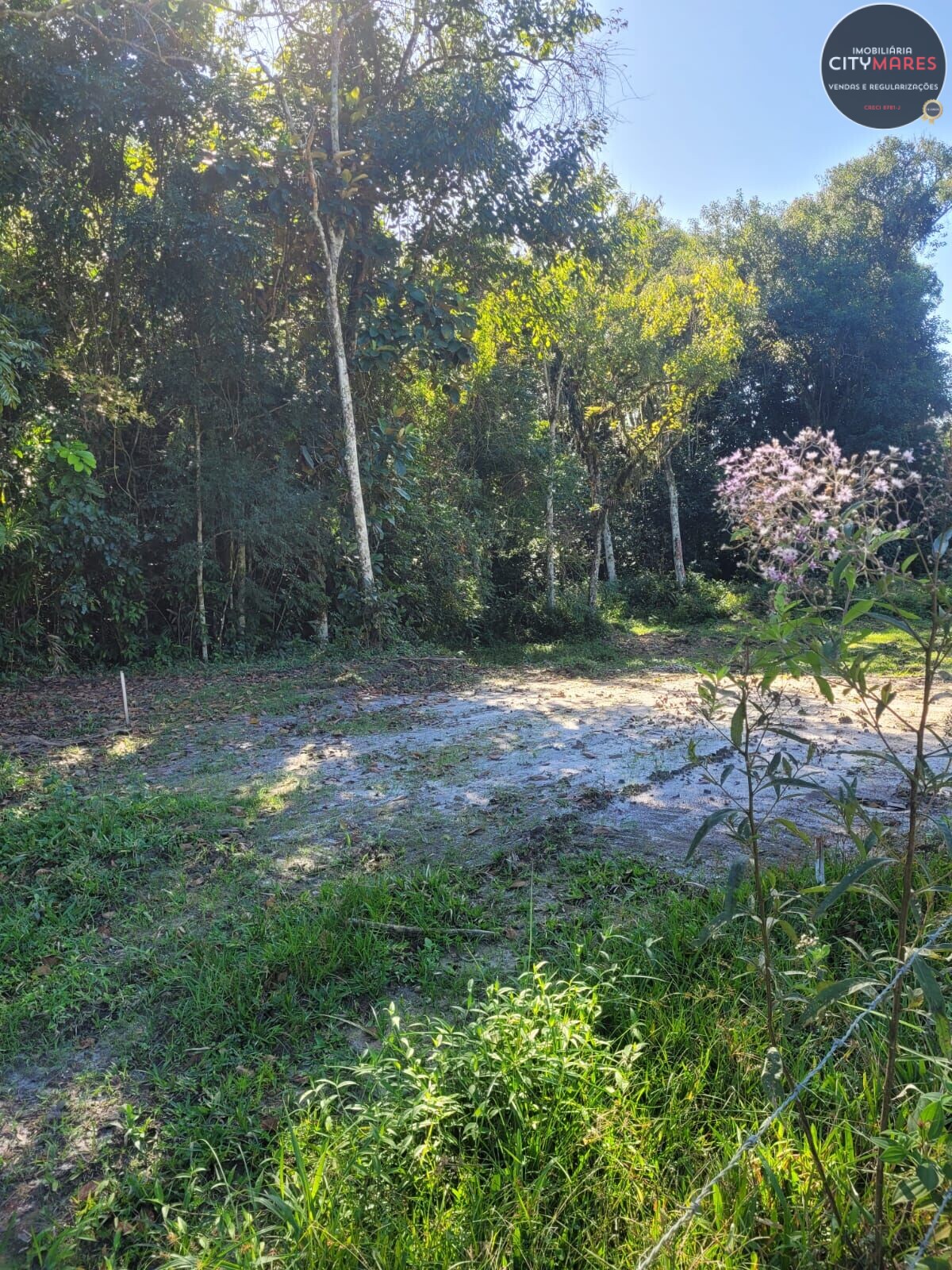 Terreno à venda, 1000m² - Foto 5