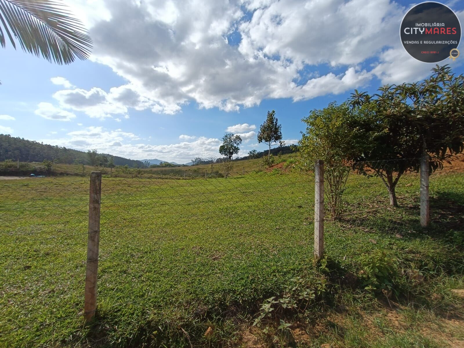 Fazenda à venda - Foto 6