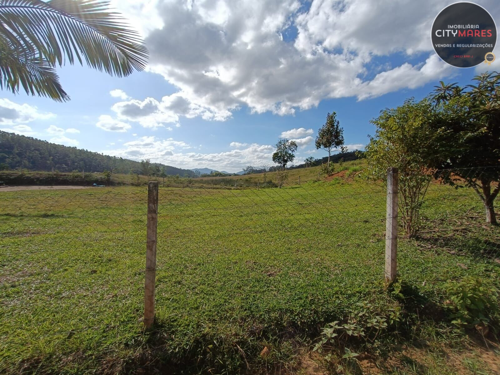 Fazenda à venda - Foto 4