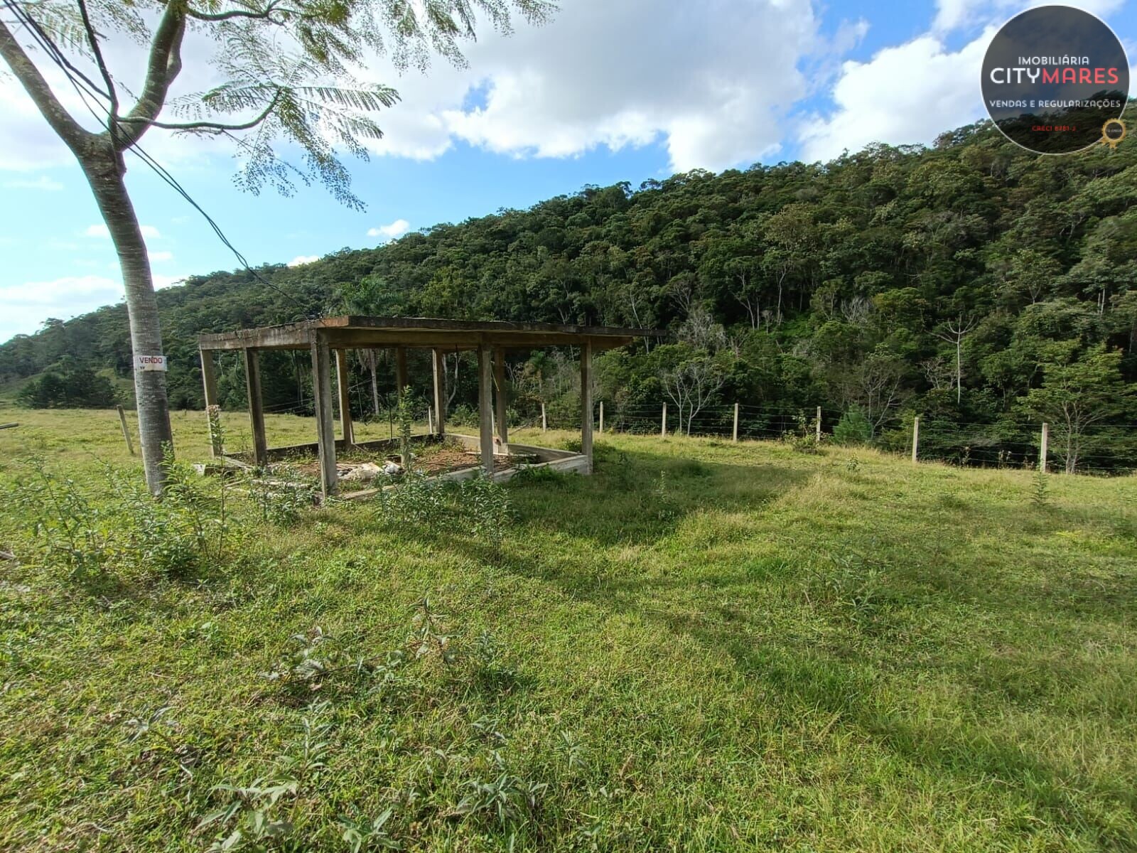 Fazenda à venda, 1500m² - Foto 6