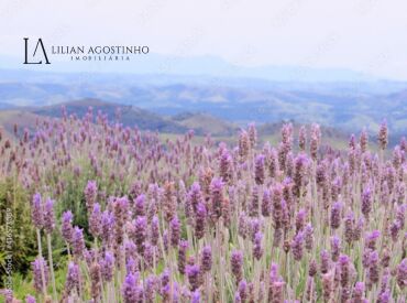 O que fazer em Cunha - SP ?