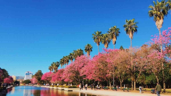 Guia completo: como é morar em Porto Alegre?
