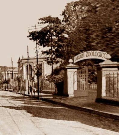 Conheça a história do Jardim Zoológico do Menino Deus