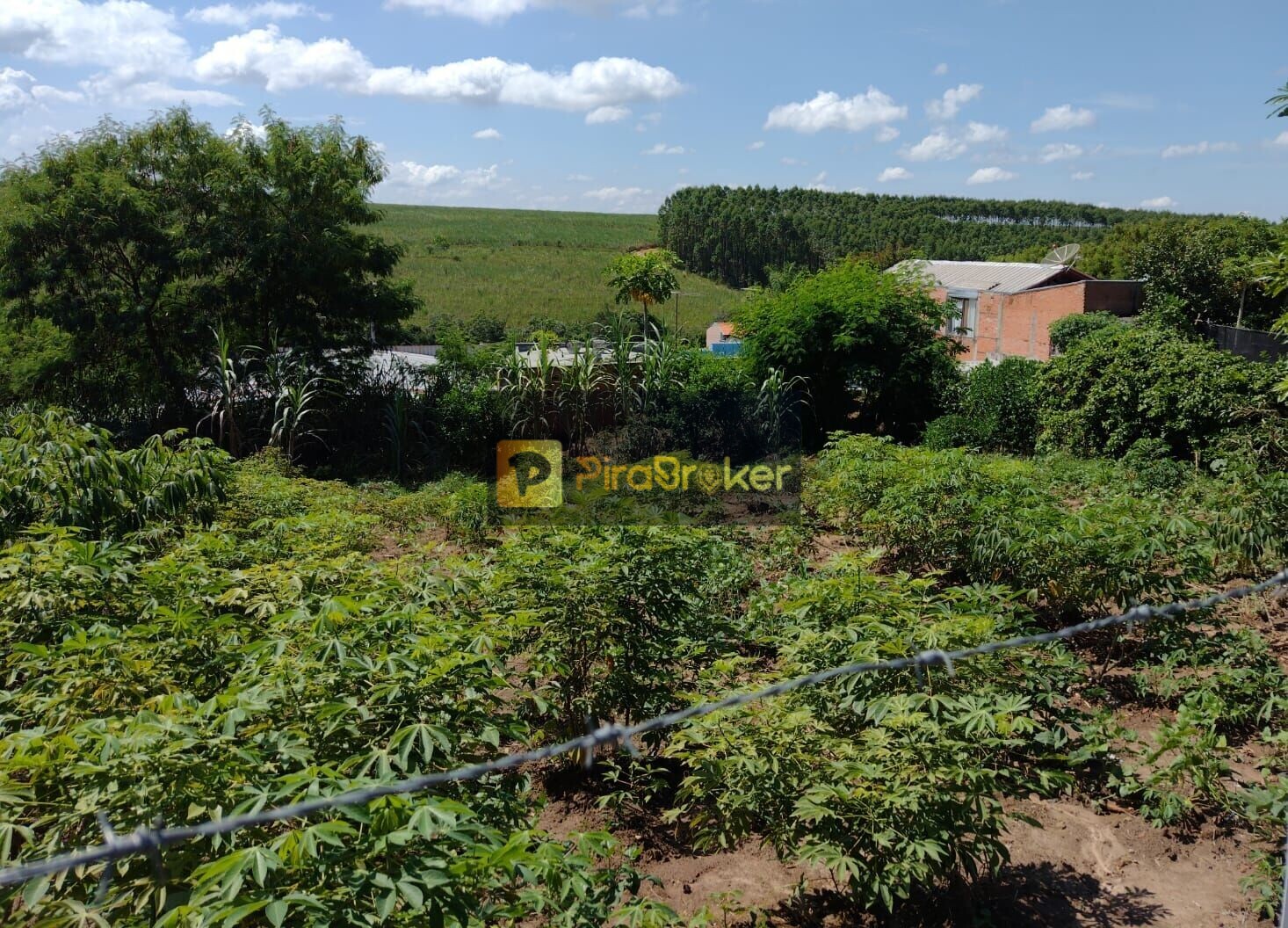 Terreno à venda, 284m² - Foto 3