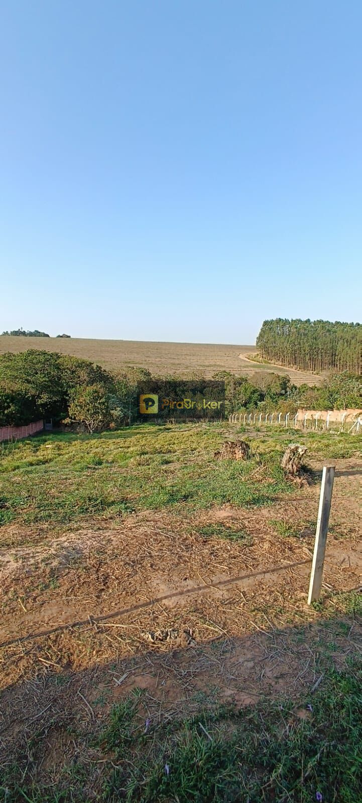 Terreno à venda, 1164m² - Foto 6