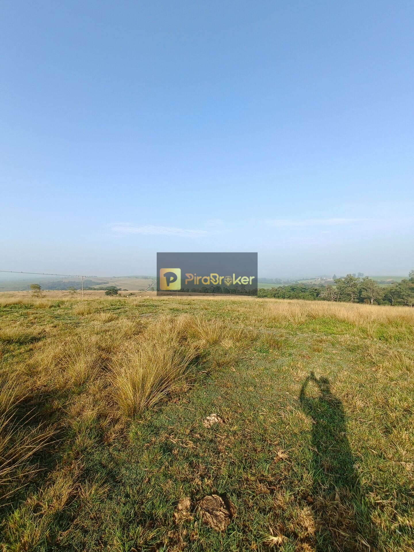 Fazenda à venda com 2 quartos, 181500m² - Foto 5