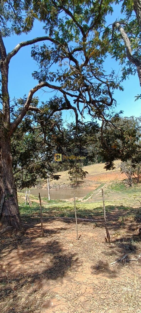 Fazenda à venda com 3 quartos, 532400m² - Foto 3