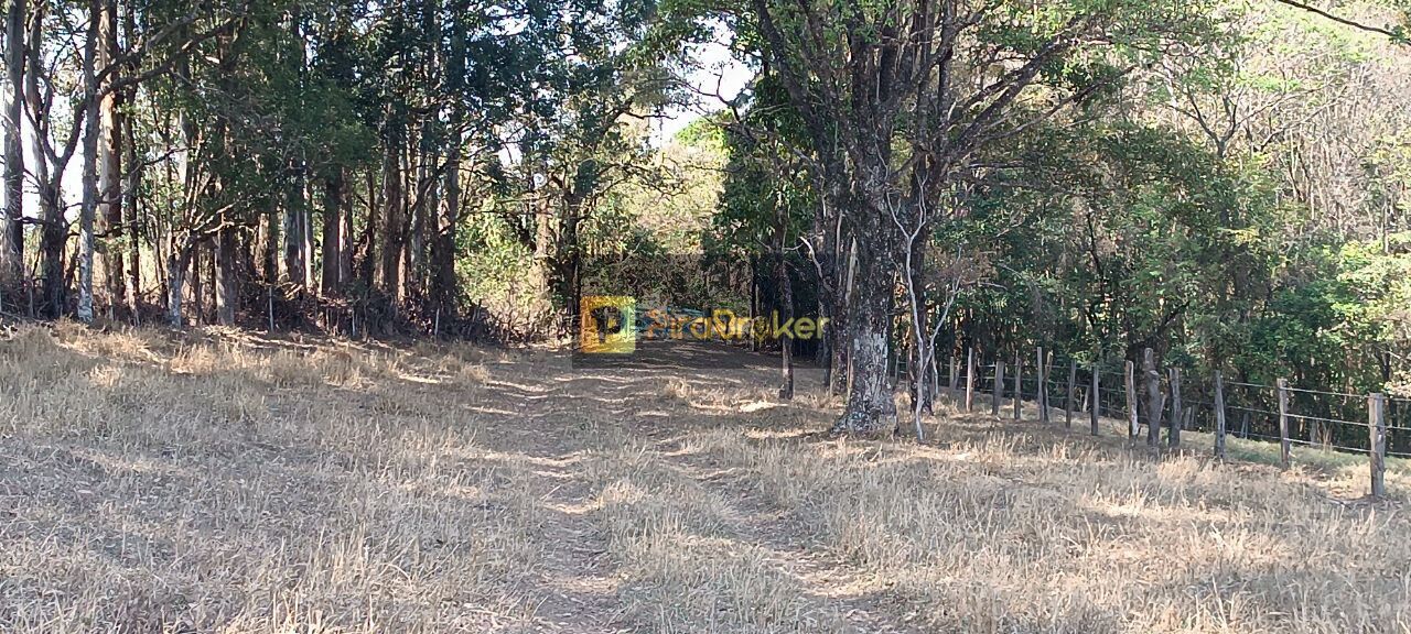 Fazenda à venda com 3 quartos, 532400m² - Foto 30