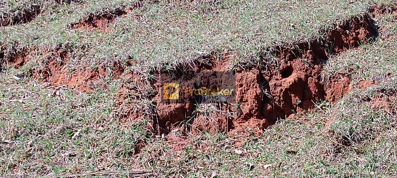 Fazenda à venda com 3 quartos, 532400m² - Foto 6