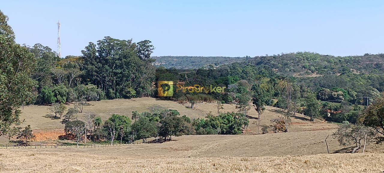 Fazenda à venda com 3 quartos, 532400m² - Foto 23