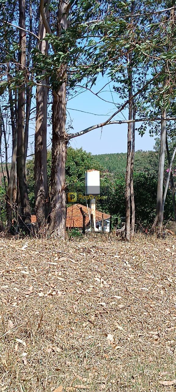 Fazenda à venda com 3 quartos, 532400m² - Foto 28