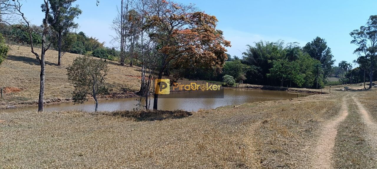 Fazenda à venda com 3 quartos, 532400m² - Foto 5