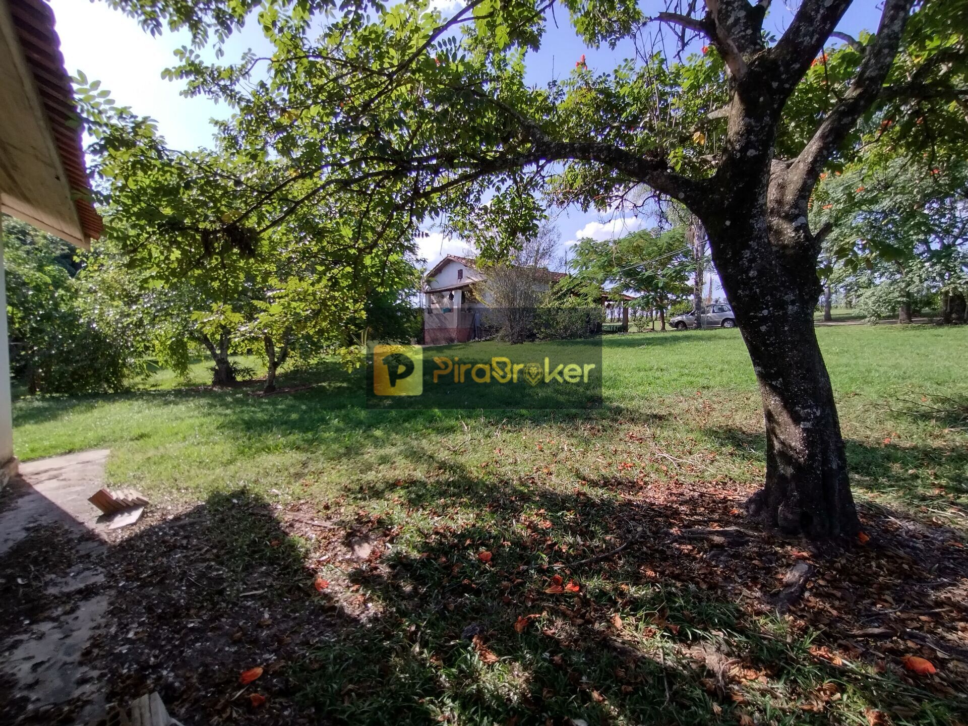 Fazenda à venda com 4 quartos, 80000m² - Foto 37