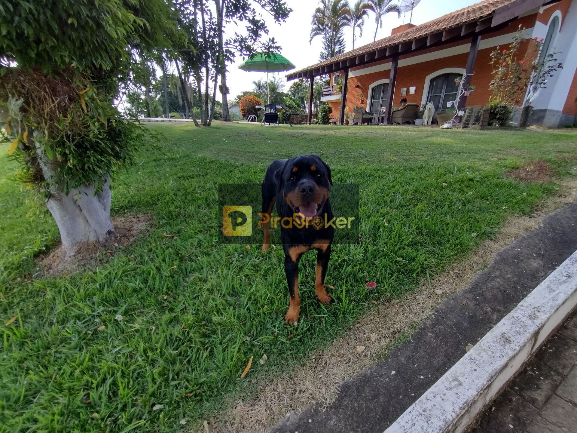 Fazenda à venda com 4 quartos, 80000m² - Foto 21