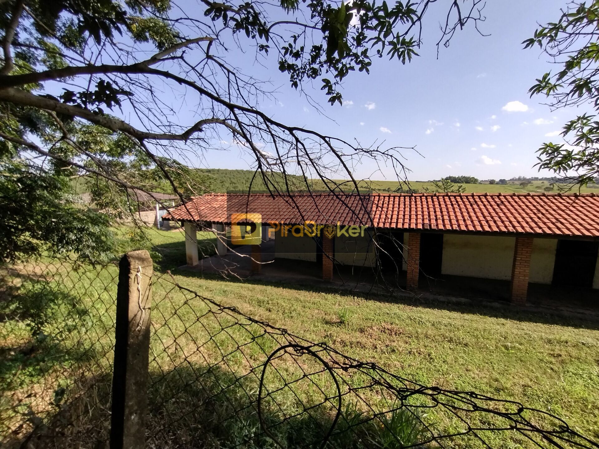 Fazenda à venda com 4 quartos, 80000m² - Foto 39