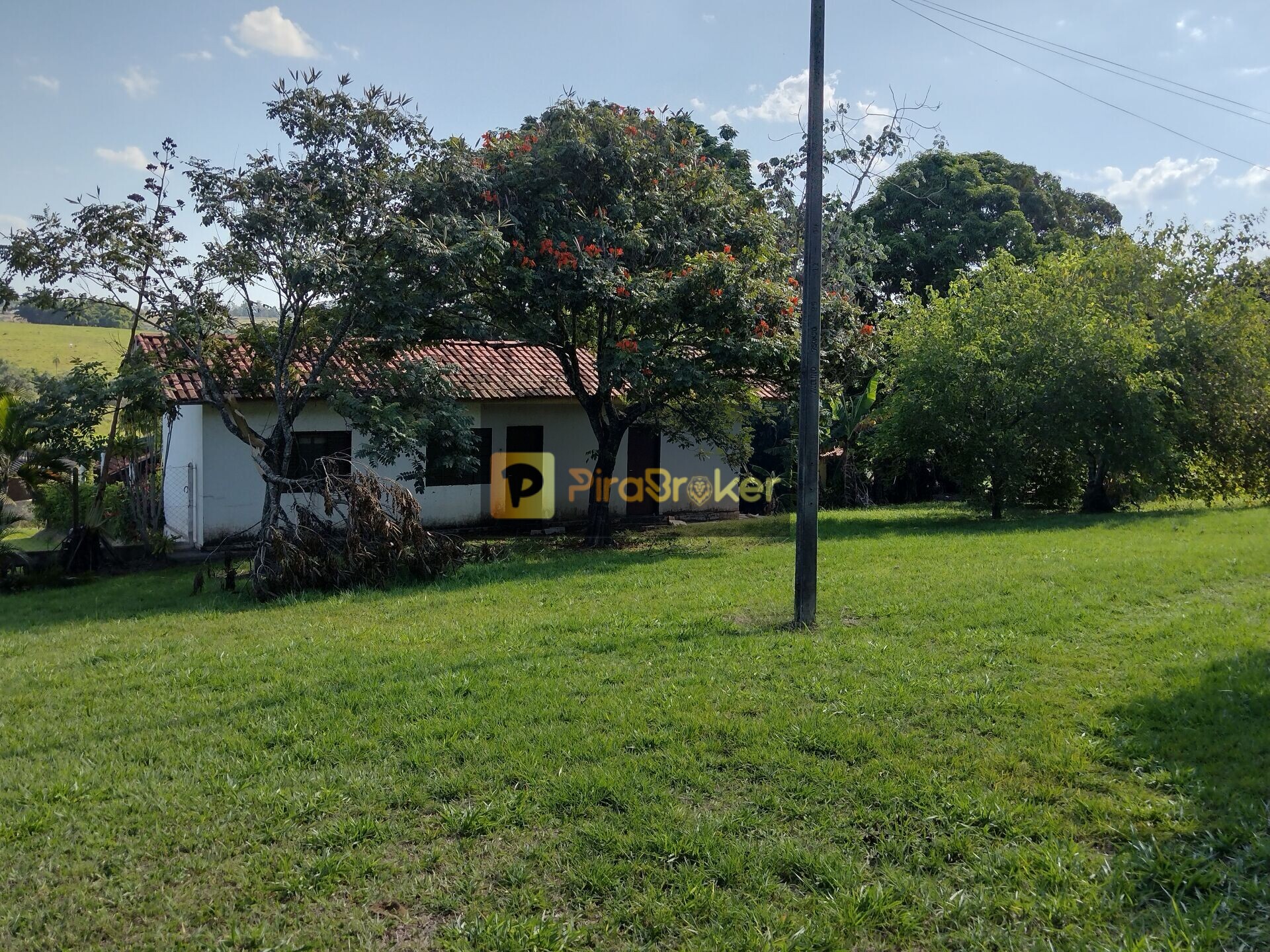 Fazenda à venda com 4 quartos, 80000m² - Foto 34