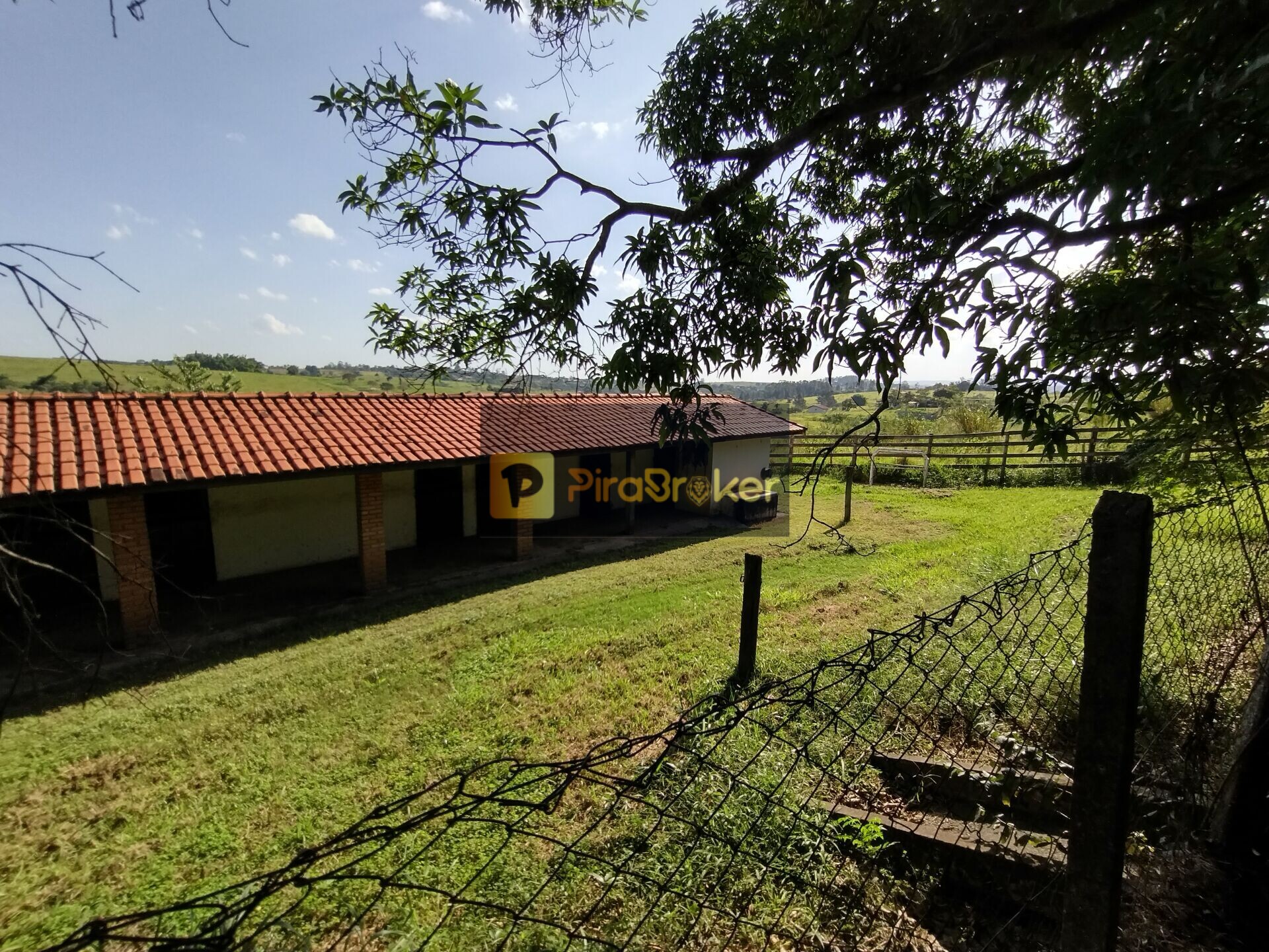 Fazenda à venda com 4 quartos, 80000m² - Foto 38