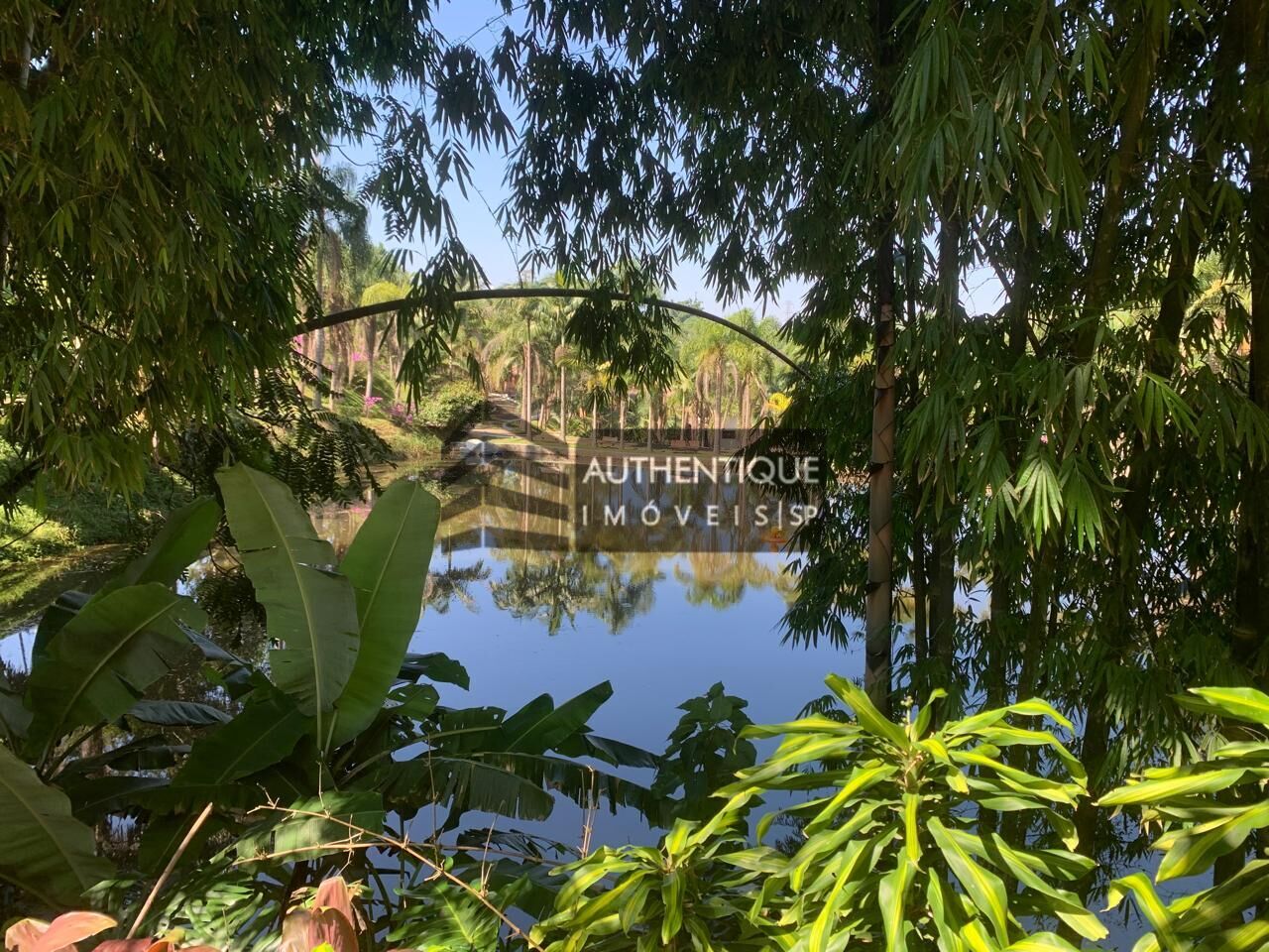 Chácara, 23 quartos, 12 hectares - Foto 4