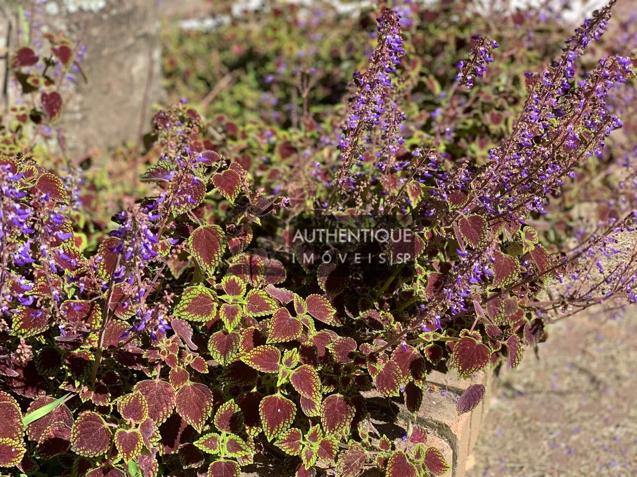 Chácara, 23 quartos, 12 hectares - Foto 24