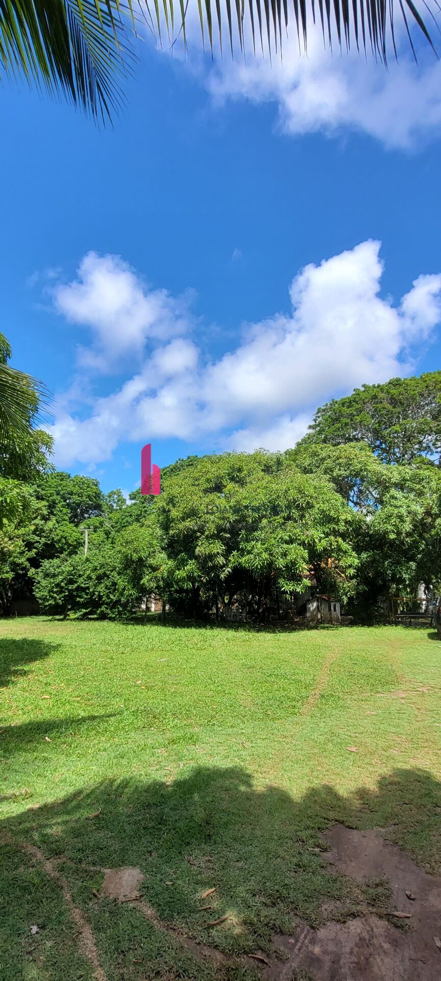 Sítio em AÇU DA TORRE com 9.680m² Mata de São João - BAHIA
