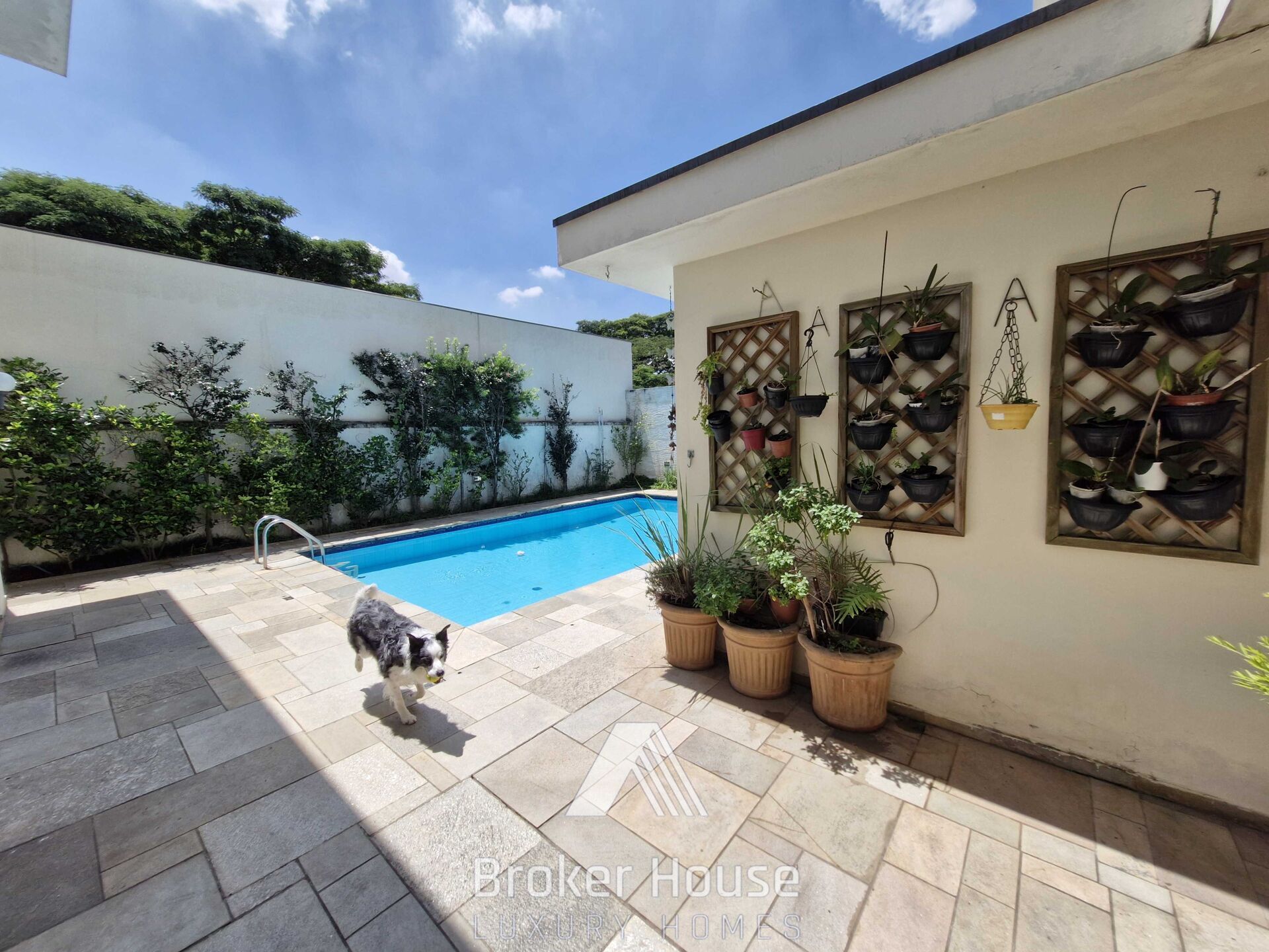 Casa, 4 quartos, 363 m² - Foto 5