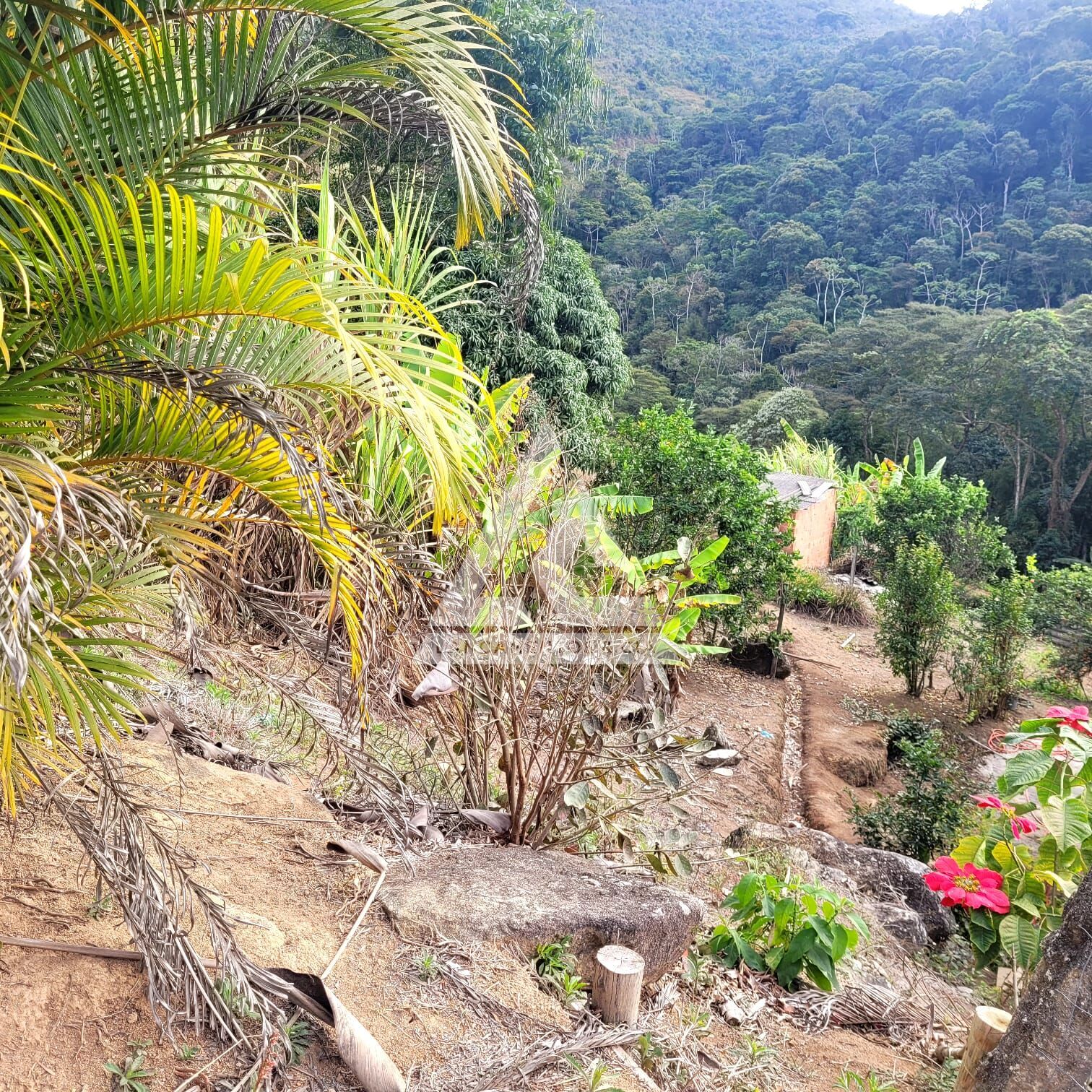 Terreno à venda, 700m² - Foto 3