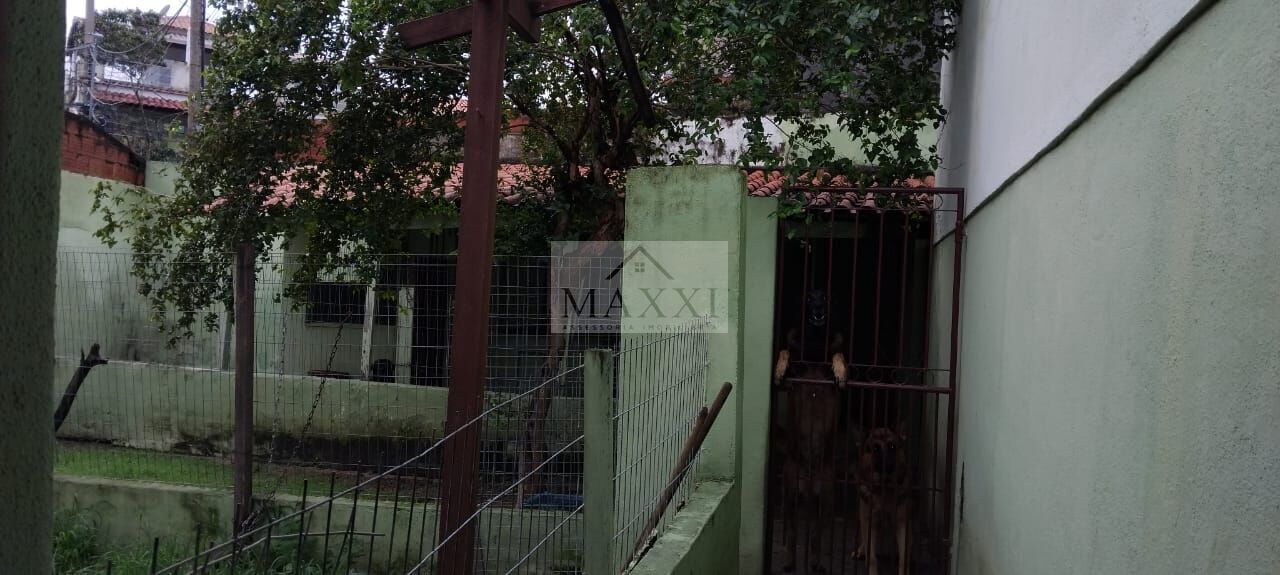 Casa, 5 quartos, 600 m² - Foto 4
