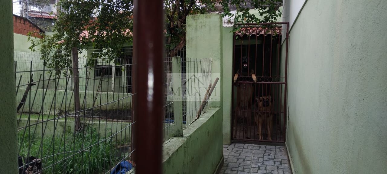Casa, 5 quartos, 600 m² - Foto 5