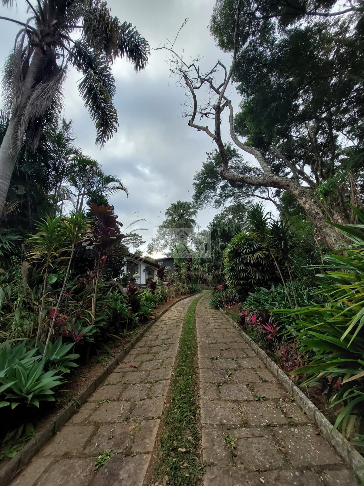 Casa, 8 quartos, 500 m² - Foto 4