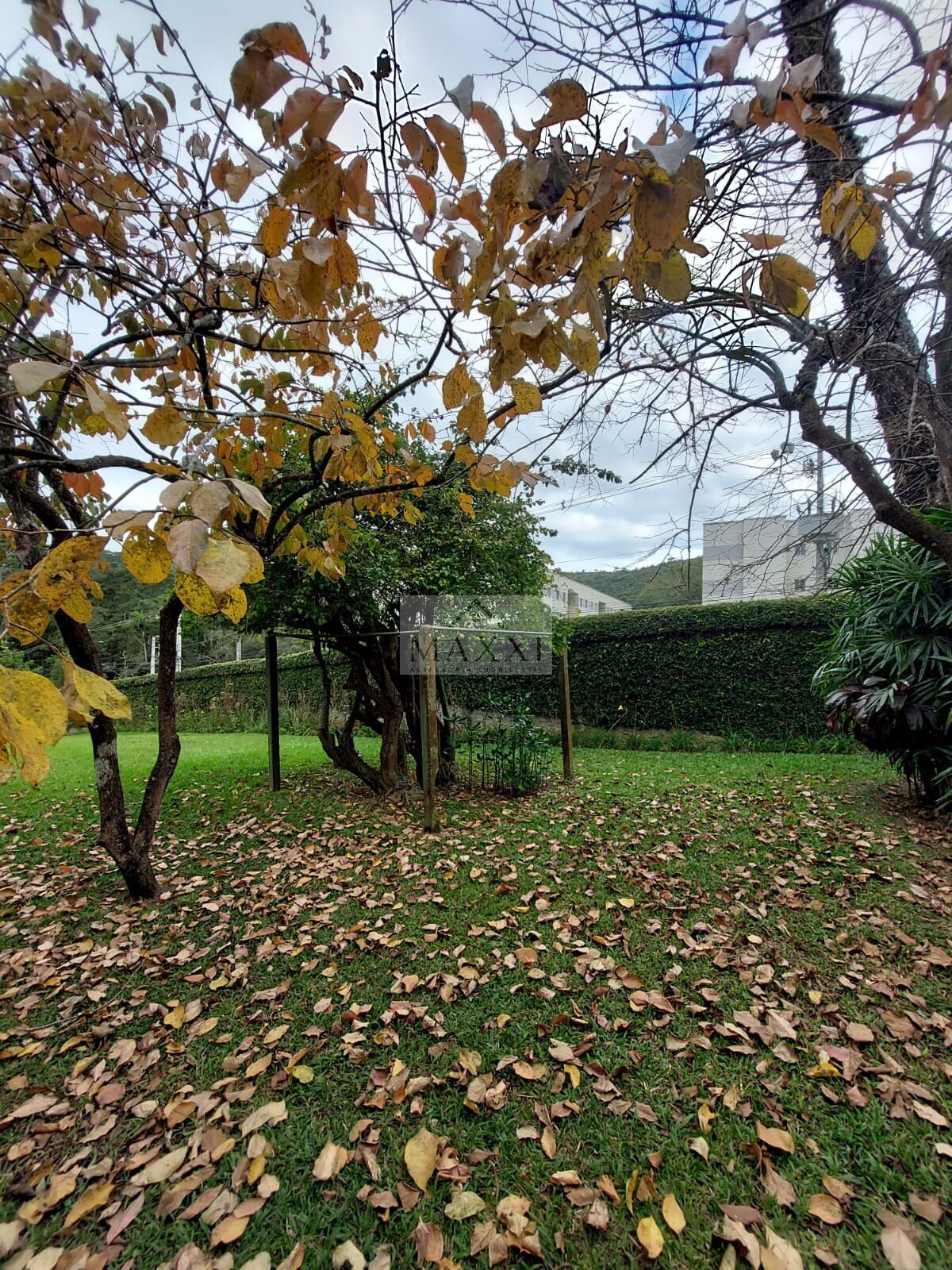 Casa, 8 quartos, 500 m² - Foto 5