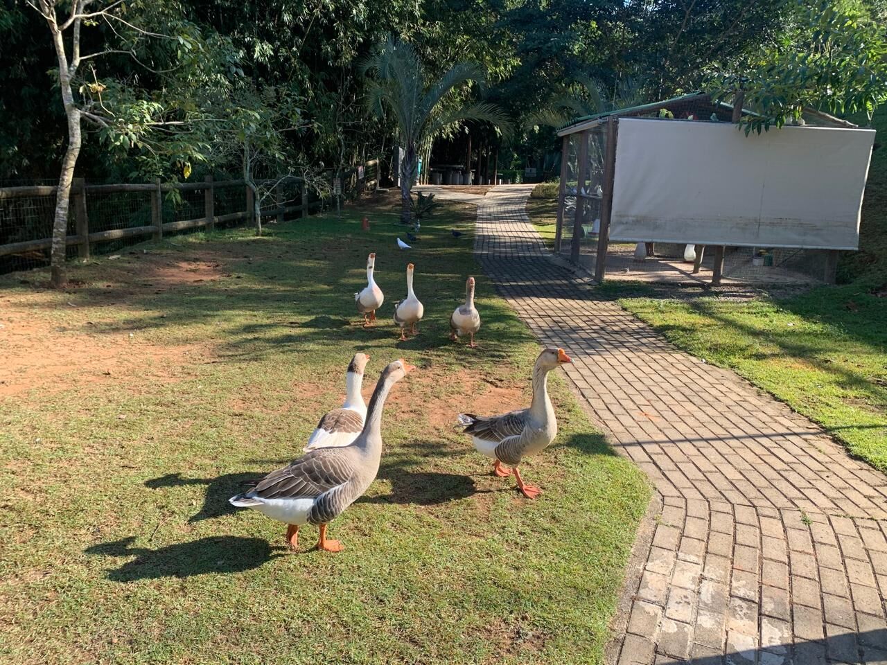 Casa de Condomínio, 3 quartos - Foto 16