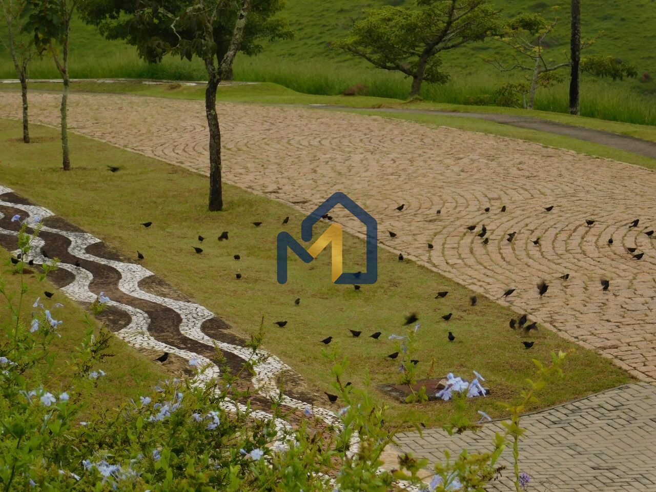 Terreno, 1134 m² - Foto 14