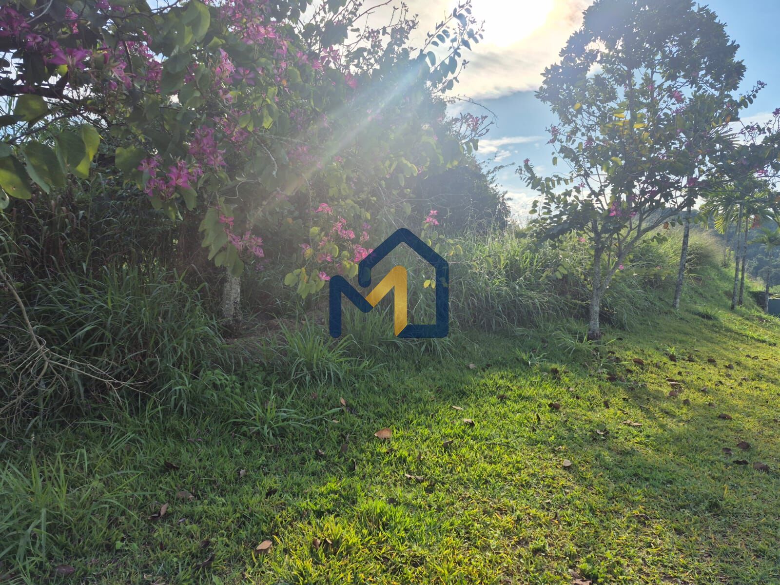 Terreno, 1134 m² - Foto 12