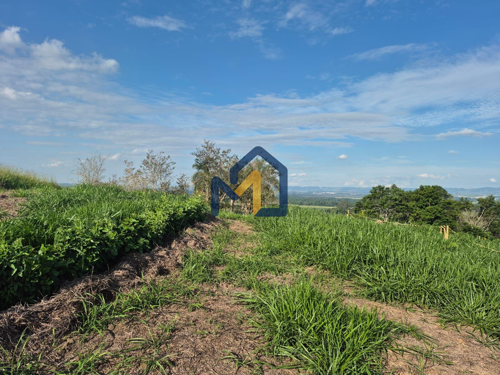 Terreno, 1134 m² - Foto 8