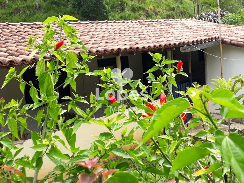 Sítio à venda com 4 quartos, 65000m² - Foto 8