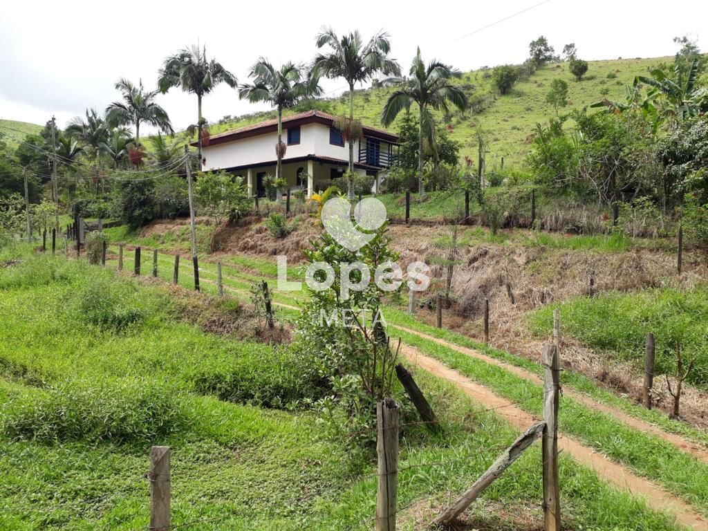 Sítio à venda com 4 quartos, 65000m² - Foto 3