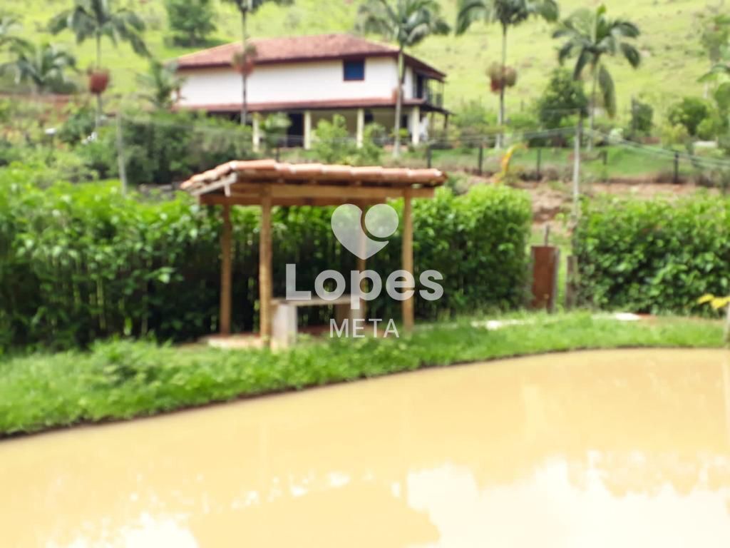 Sítio à venda com 4 quartos, 65000m² - Foto 5