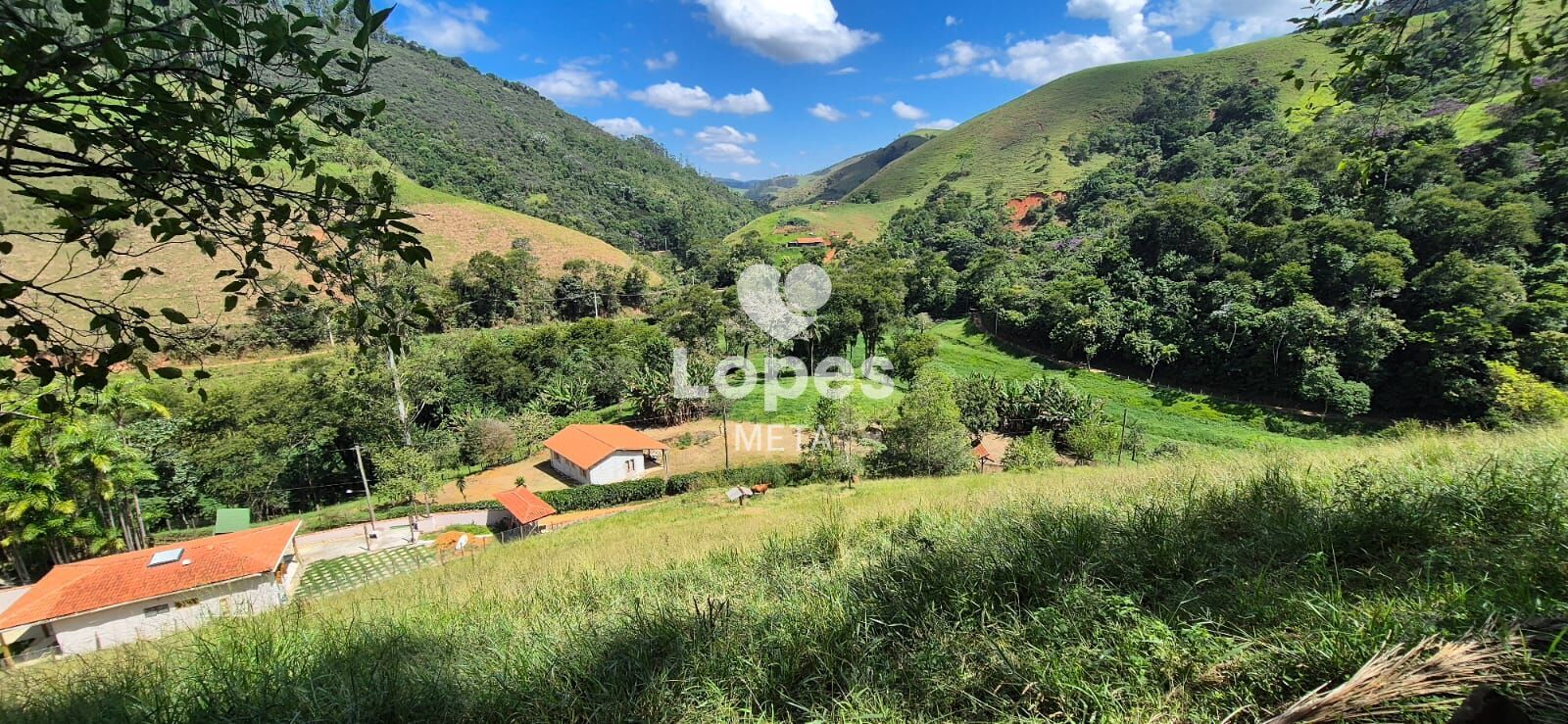 Chácara à venda com 1 quarto, 22000m² - Foto 8