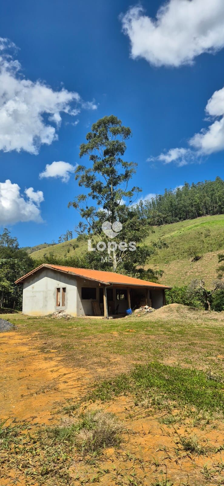 Chácara à venda com 1 quarto, 22000m² - Foto 2