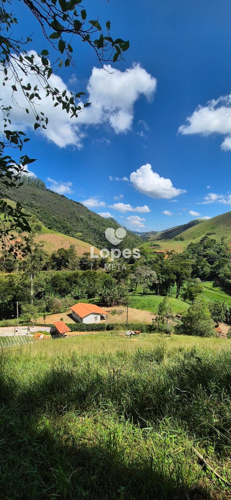 Chácara à venda com 1 quarto, 22000m² - Foto 7