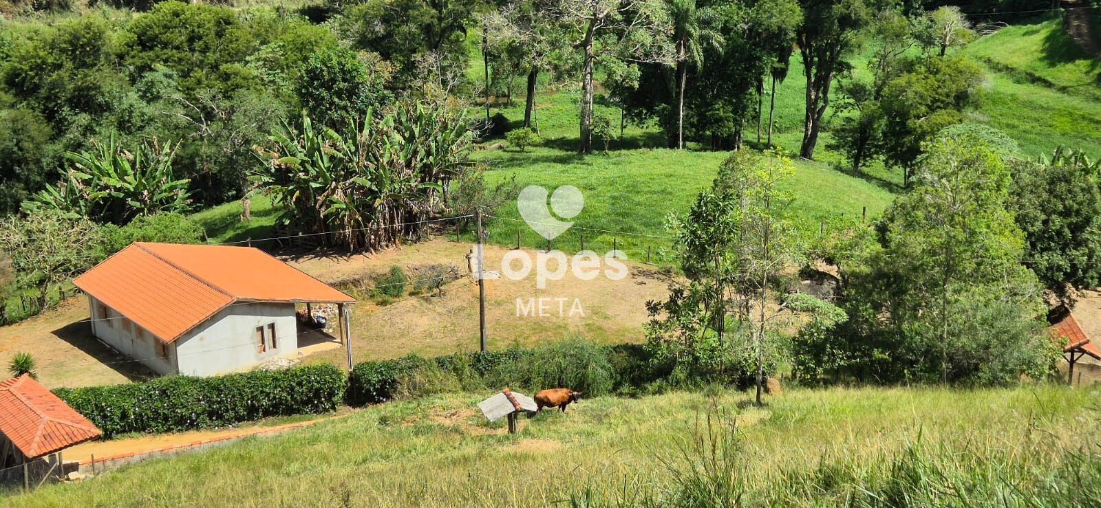 Chácara à venda com 1 quarto, 22000m² - Foto 5