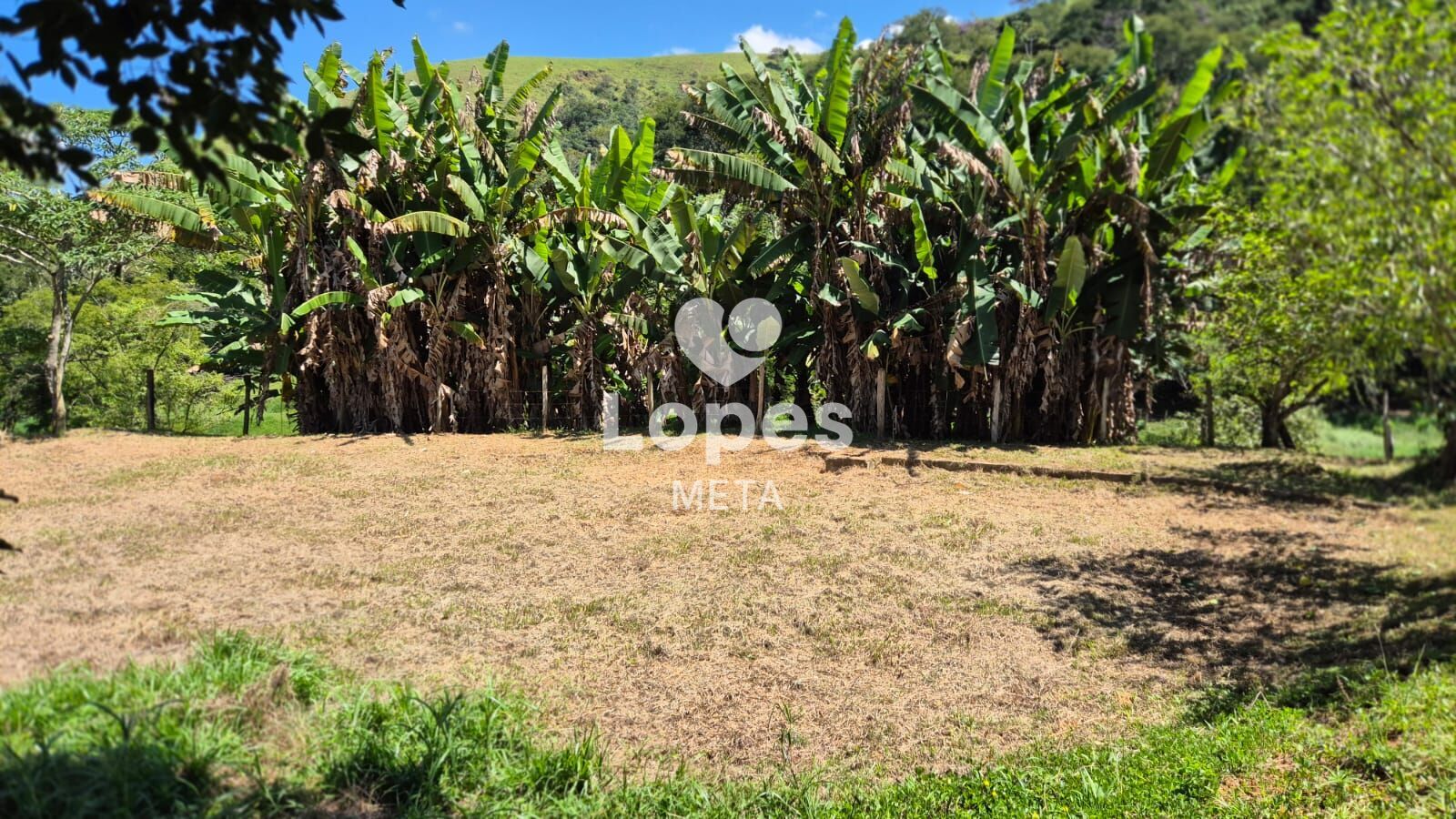 Chácara à venda com 1 quarto, 22000m² - Foto 11