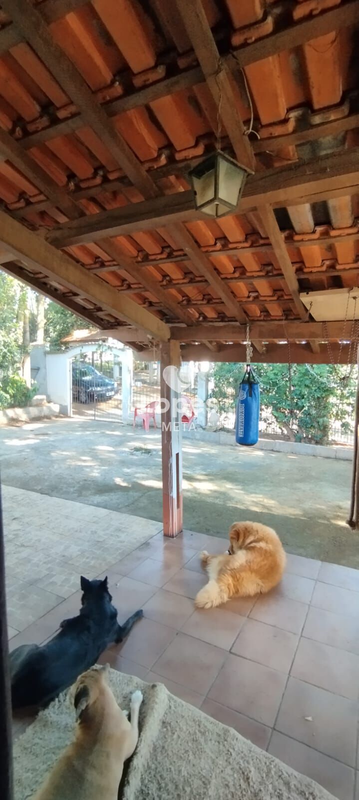 Chácara, 4 quartos, 1200 m² - Foto 16