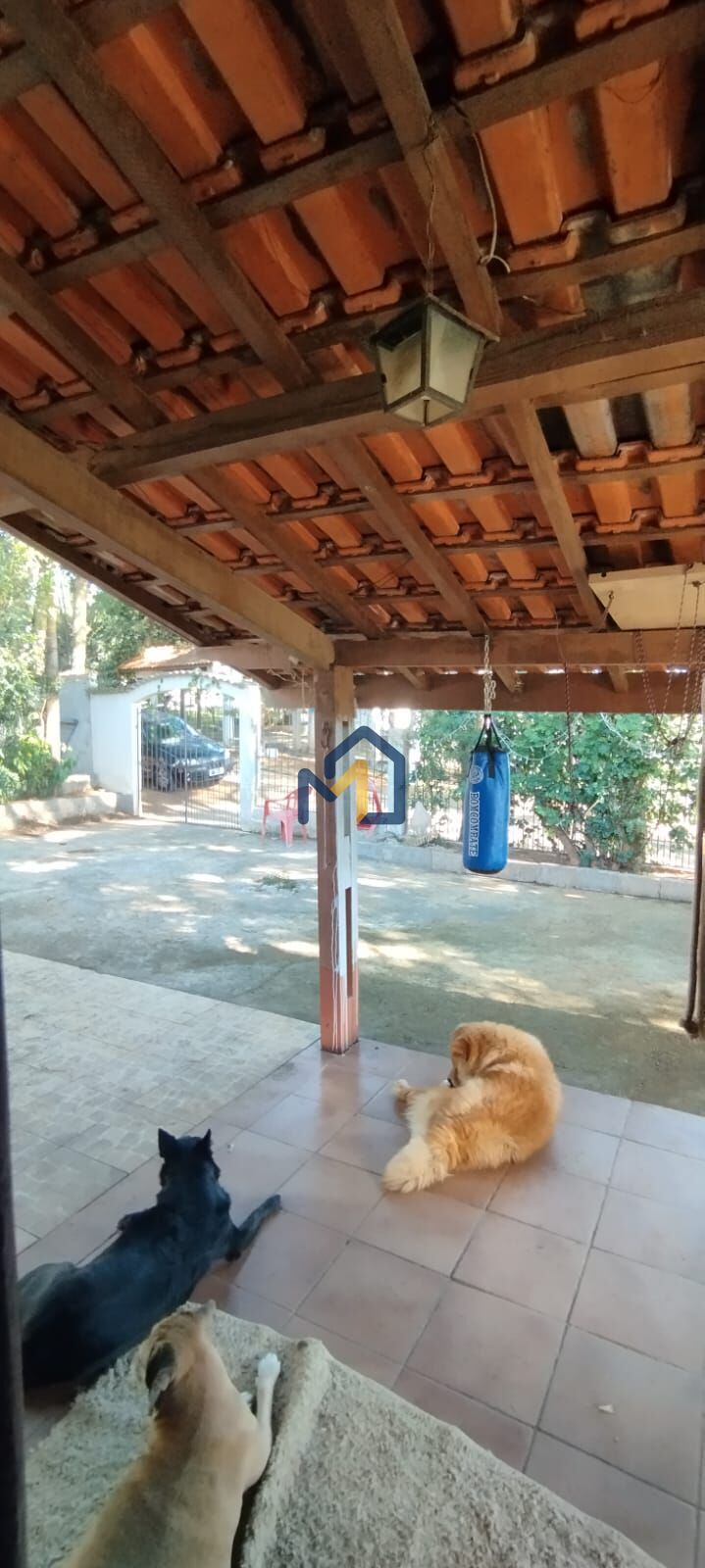 Chácara, 4 quartos, 1200 m² - Foto 16