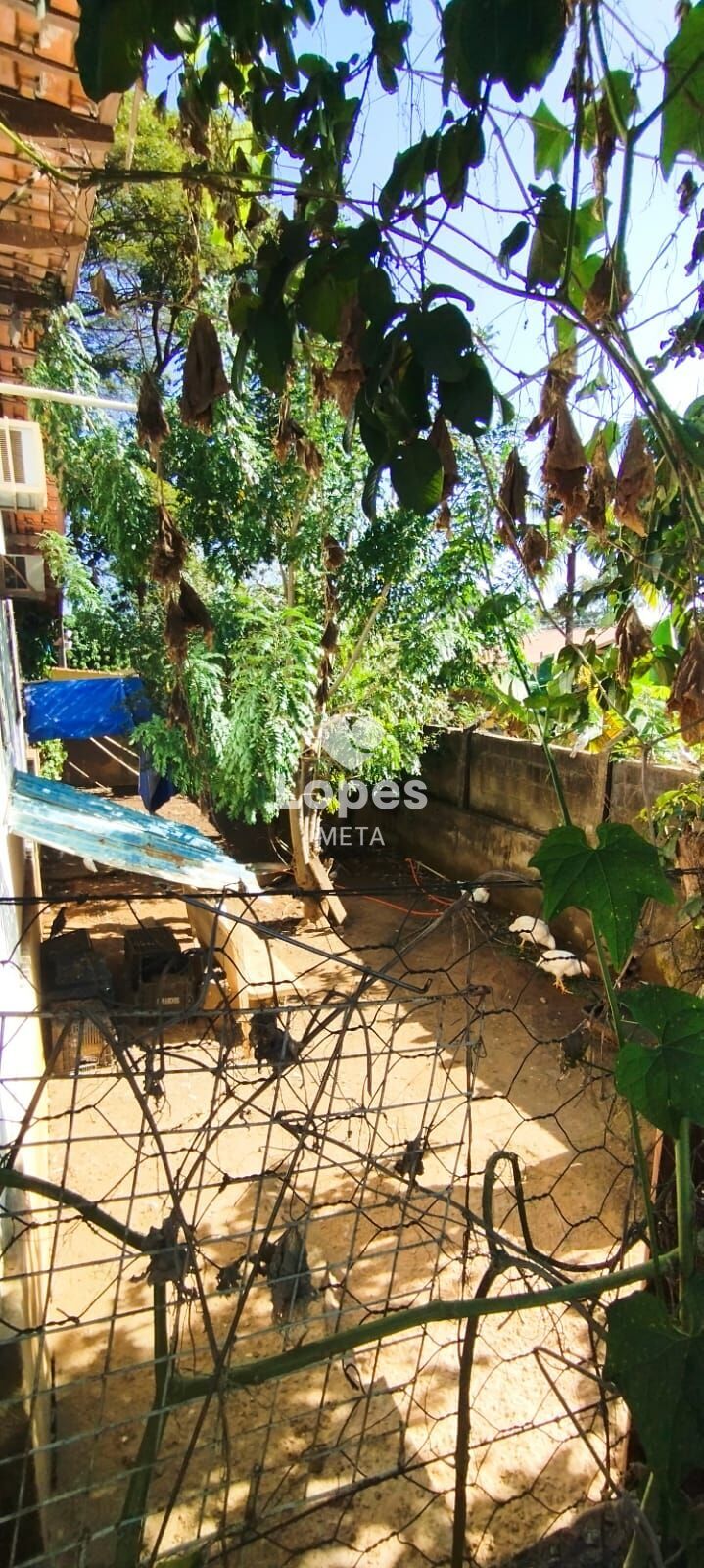 Chácara, 4 quartos, 1200 m² - Foto 21