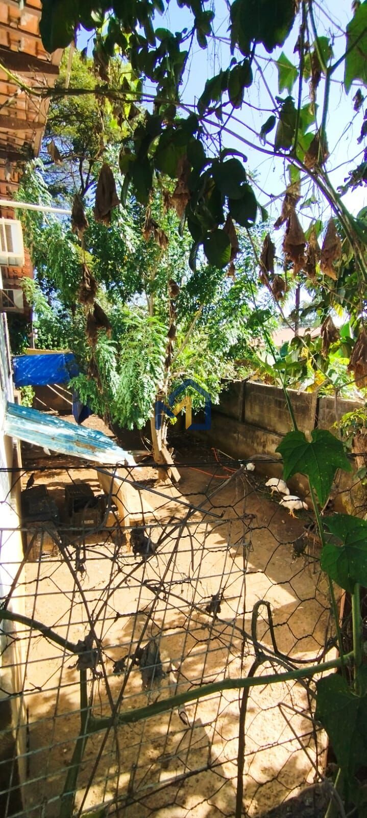 Chácara, 4 quartos, 1200 m² - Foto 21
