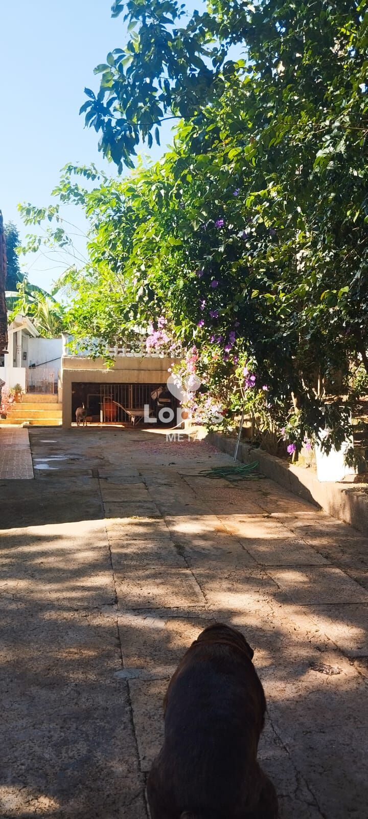 Chácara, 4 quartos, 1200 m² - Foto 26