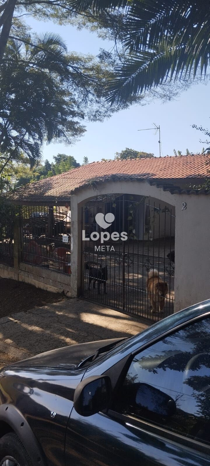 Chácara, 4 quartos, 1200 m² - Foto 5